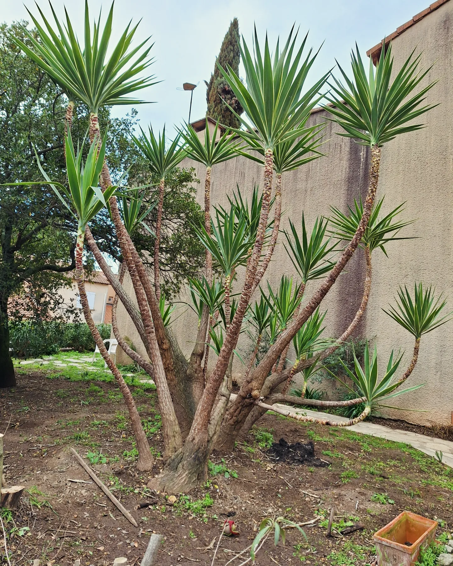 IMG_20240227_141507_353