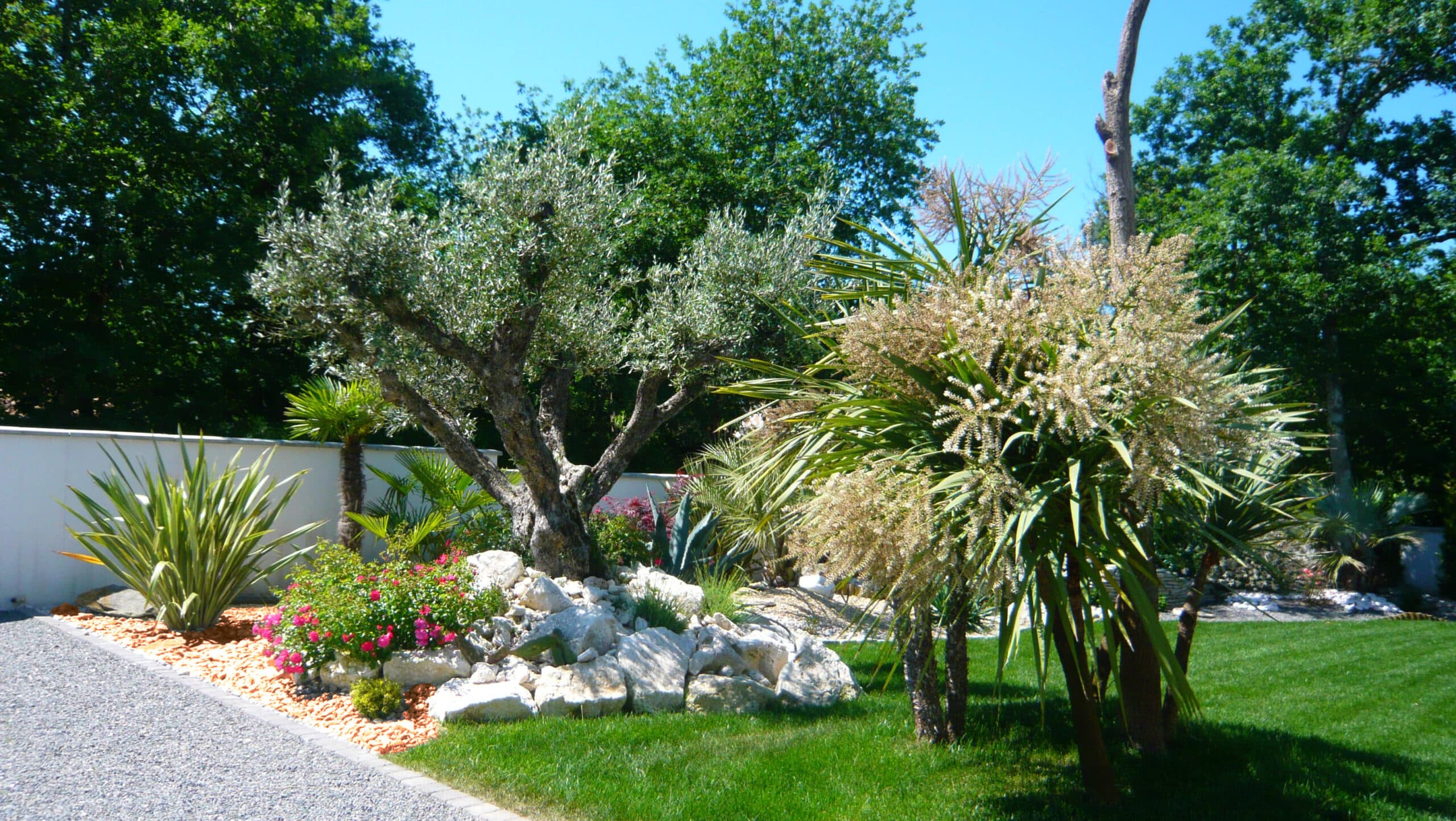 voici-un-massif-méditerranéen ultra tendance 2026🌿avec un rendu moderne naturel et très peu d&rsquo;entretien